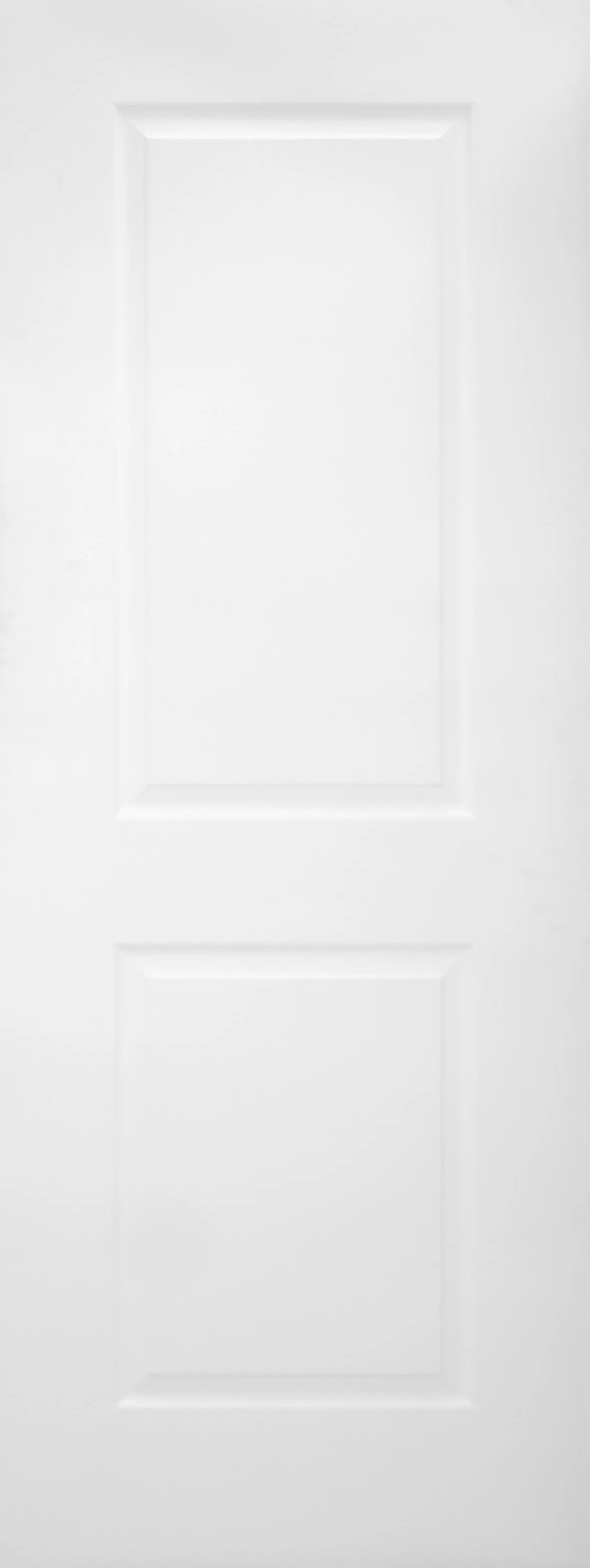 36x80 2 Panel Hollow Core Door in White