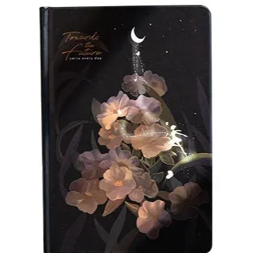 Luminous Moon Ballet Journal