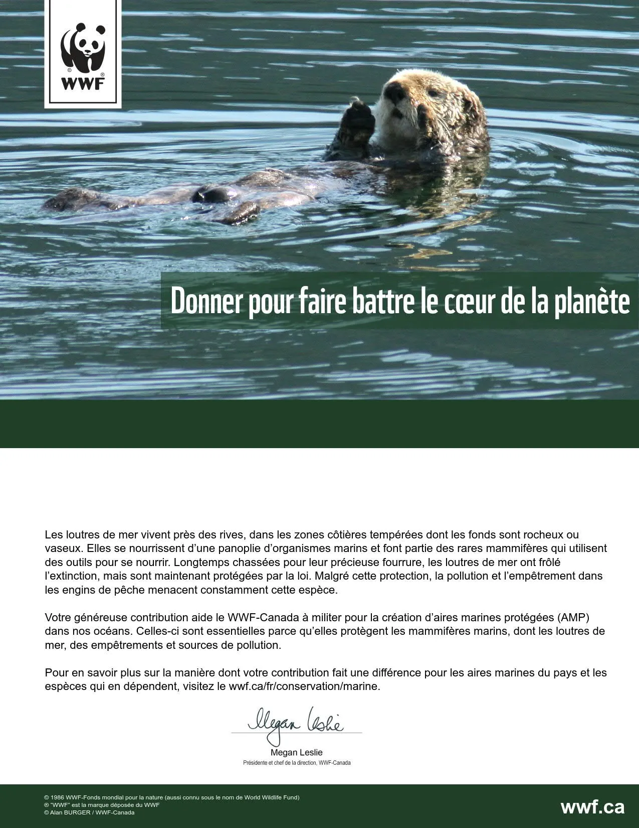 protégeons l’habitat de la loutre de mer